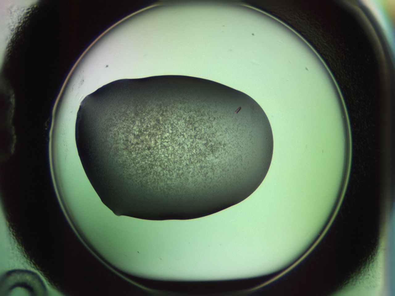 02ll_B10_ImagerDefaults_7.jpg