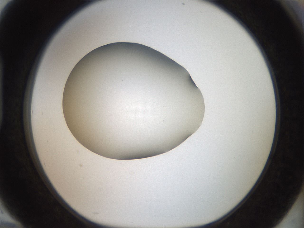 folderID40_plateID2040_batchID8993_wellNum94_profileID1_d1_r137649_ef.jpg