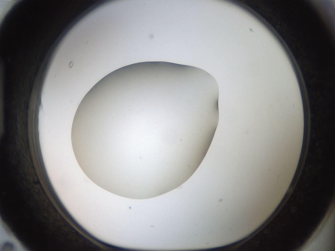 folderID40_plateID2040_batchID8993_wellNum95_profileID1_d1_r137651_ef.jpg