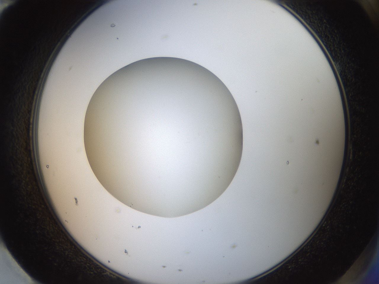 folderID40_plateID2040_batchID8993_wellNum95_profileID1_d2_r137652_ef.jpg