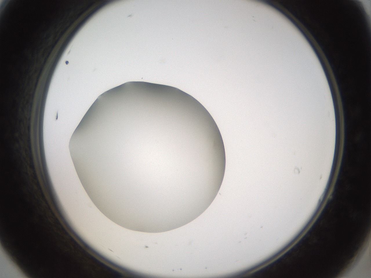 folderID40_plateID2040_batchID8993_wellNum7_profileID1_d2_r137476_ef.jpg