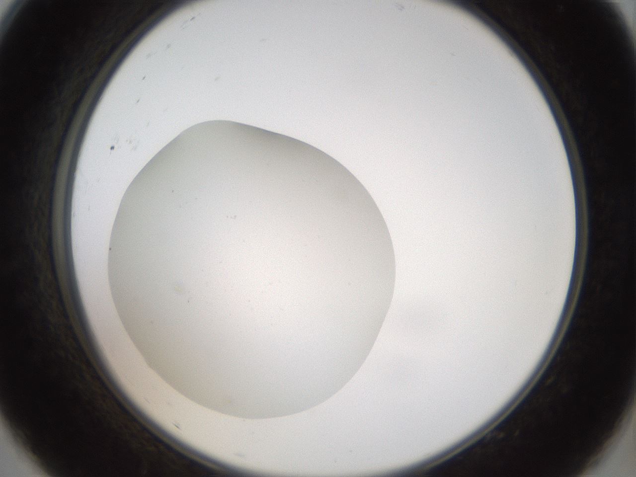 folderID40_plateID2040_batchID8993_wellNum9_profileID1_d2_r137480_ef.jpg