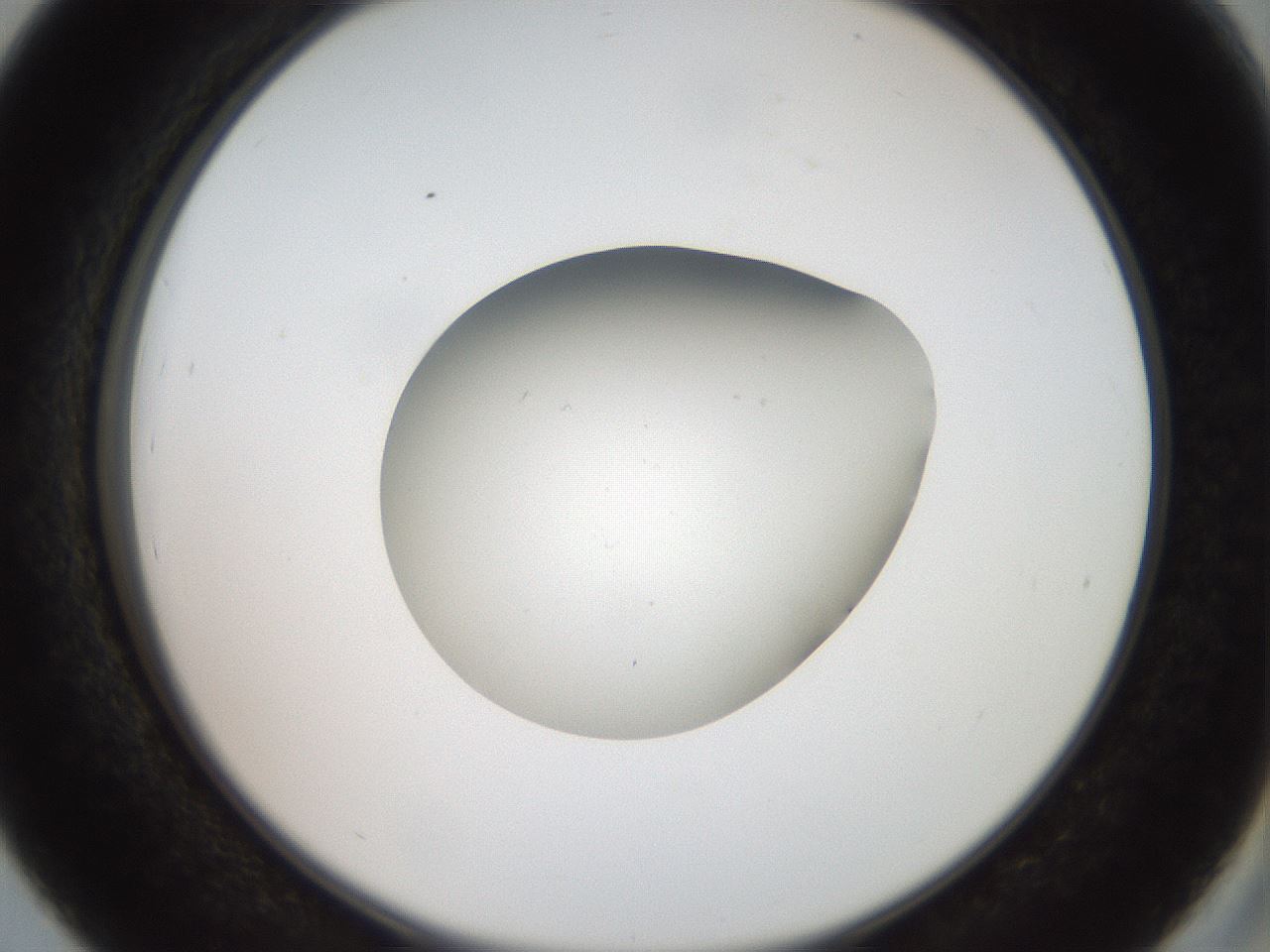 folderID40_plateID2040_batchID9008_wellNum39_profileID1_d2_r137540_ef.jpg