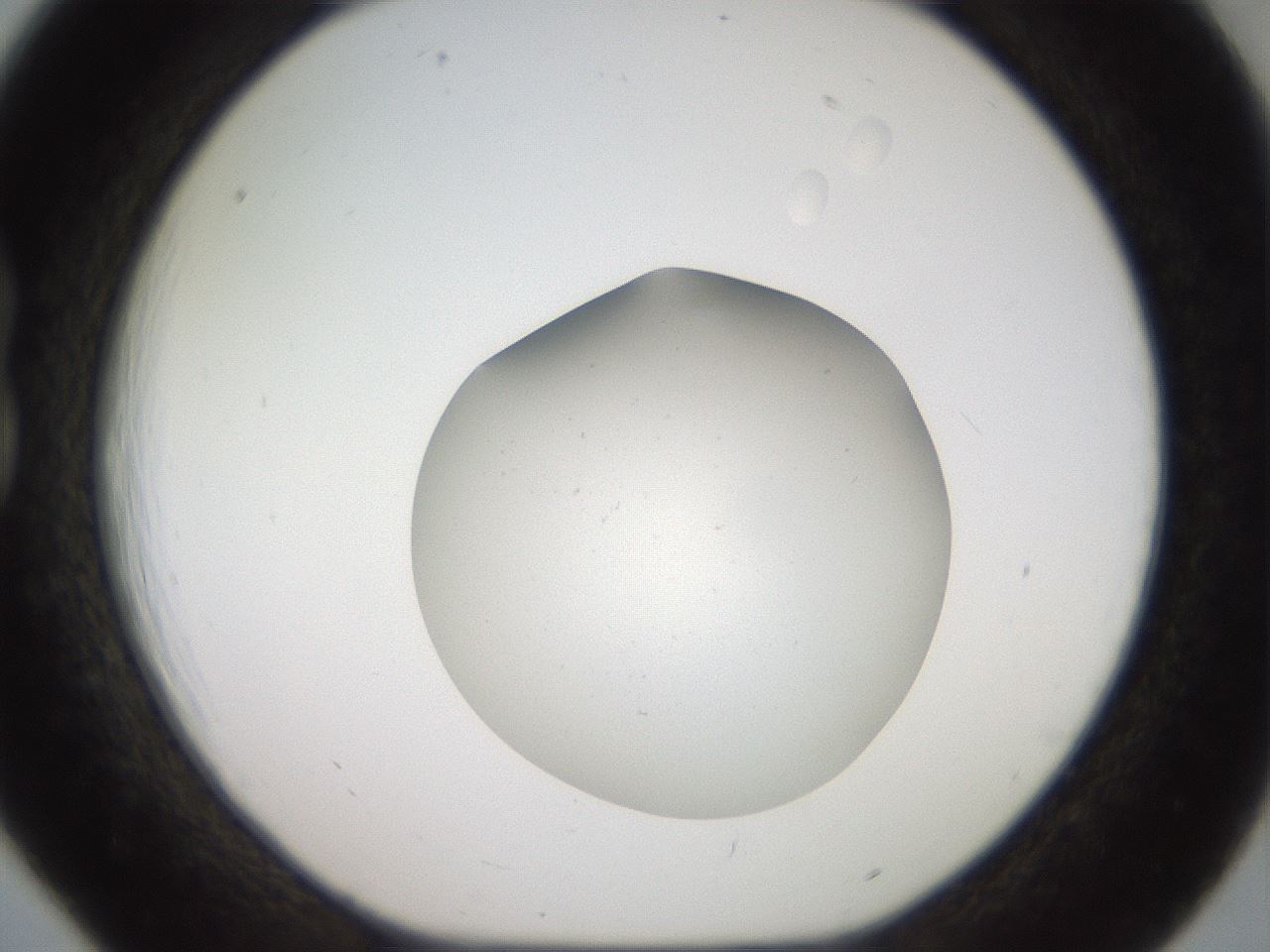 folderID40_plateID2040_batchID9008_wellNum18_profileID1_d1_r137497_ef.jpg