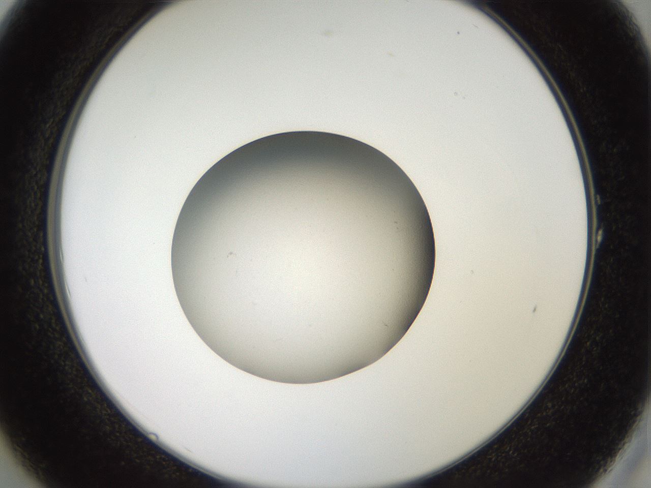folderID40_plateID2040_batchID9008_wellNum1_profileID1_d2_r137464_ef.jpg