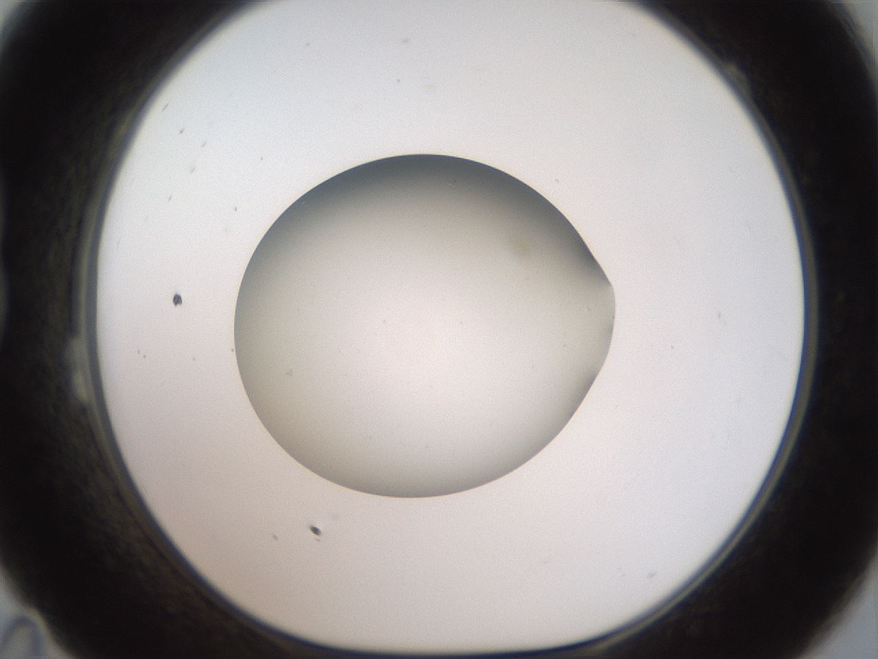 folderID40_plateID2040_batchID9008_wellNum23_profileID1_d1_r137507_ef.jpg