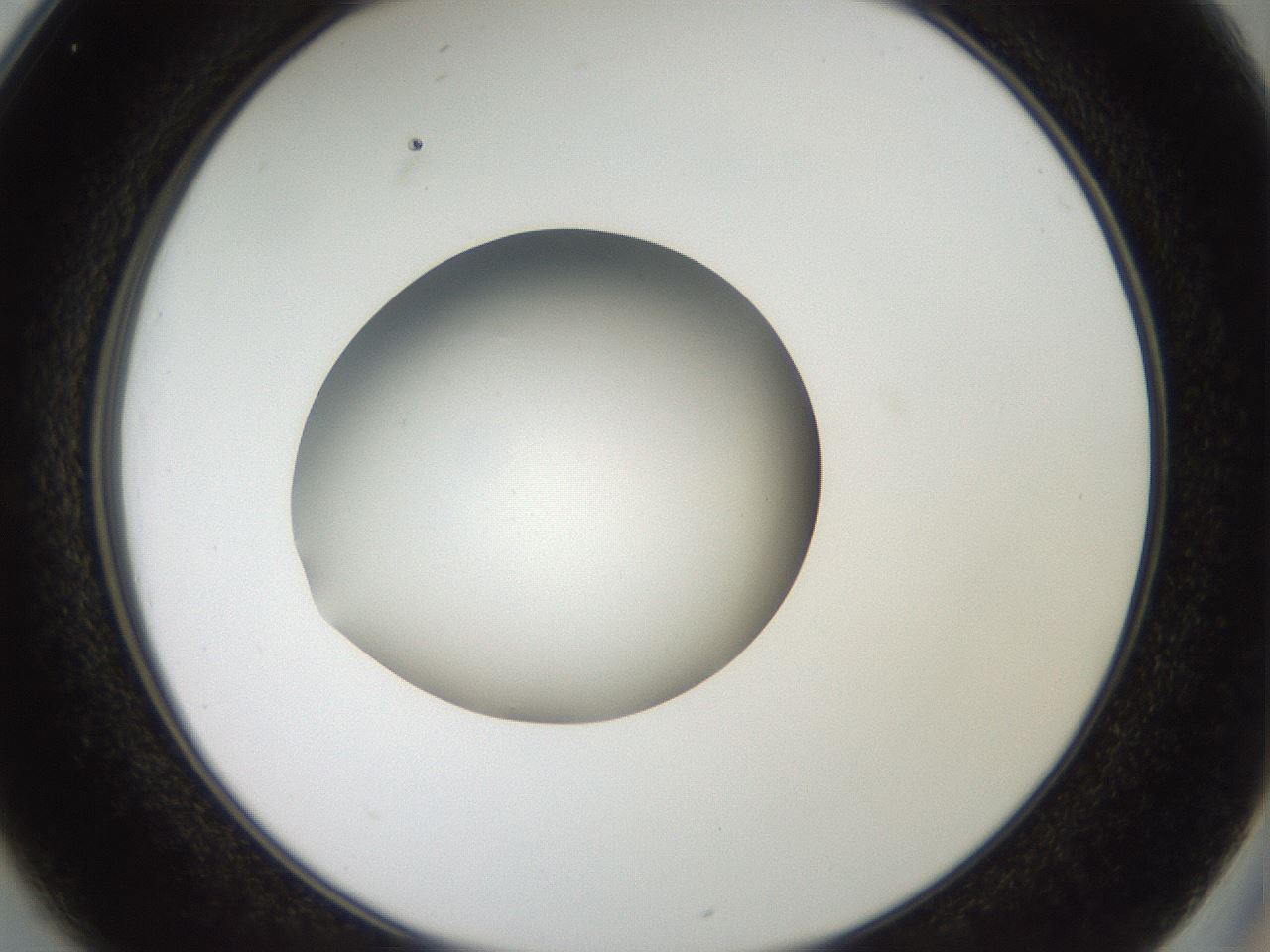 folderID40_plateID2040_batchID9008_wellNum25_profileID1_d2_r137512_ef.jpg