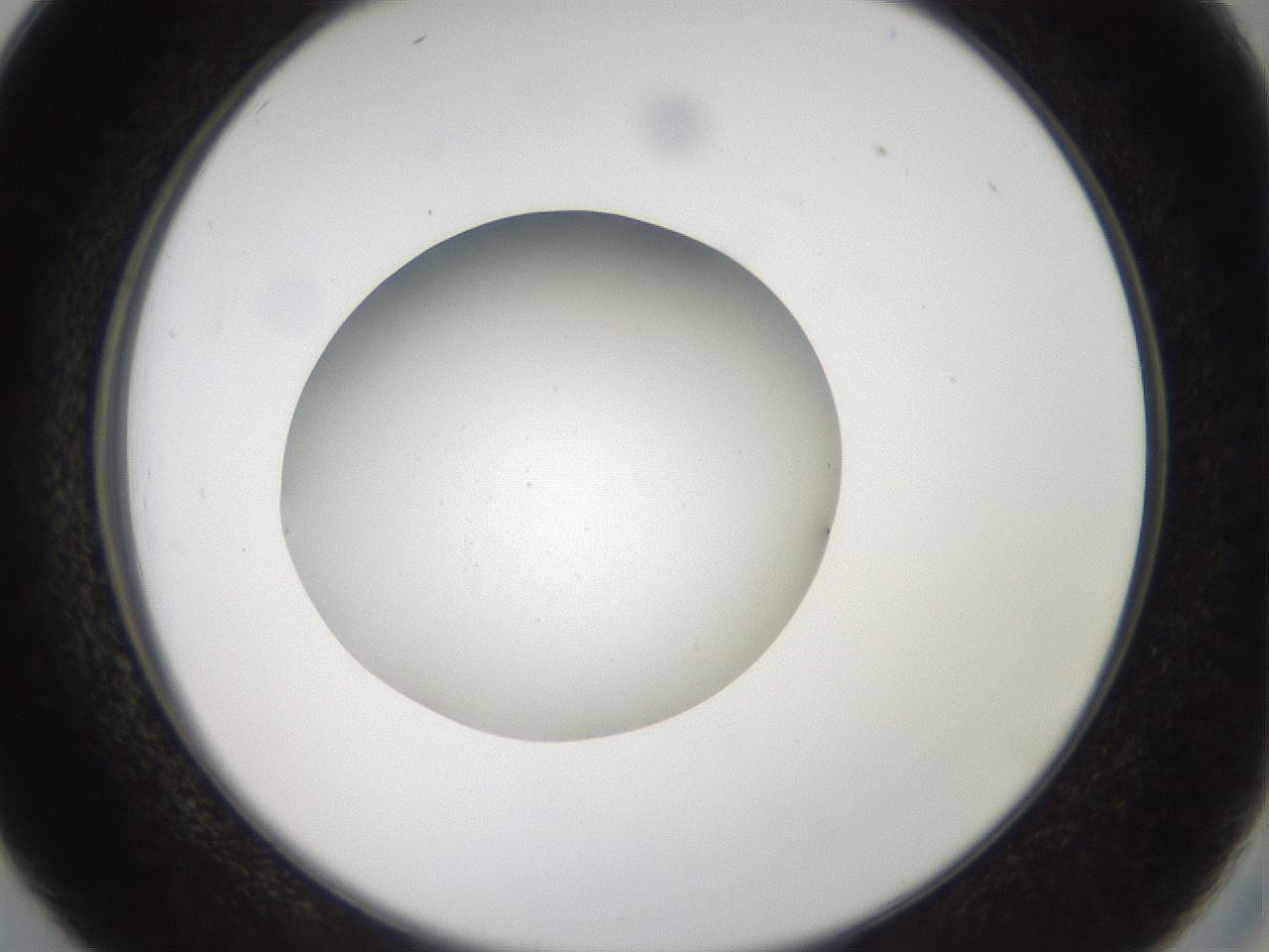 folderID40_plateID2040_batchID9008_wellNum26_profileID1_d2_r137514_ef.jpg