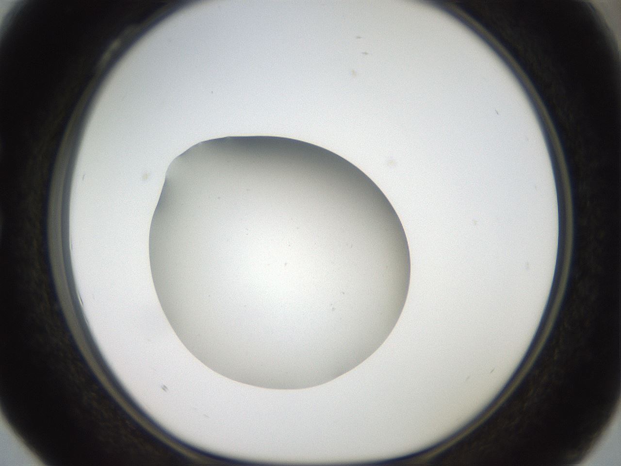 folderID40_plateID2040_batchID9008_wellNum28_profileID1_d1_r137517_ef.jpg