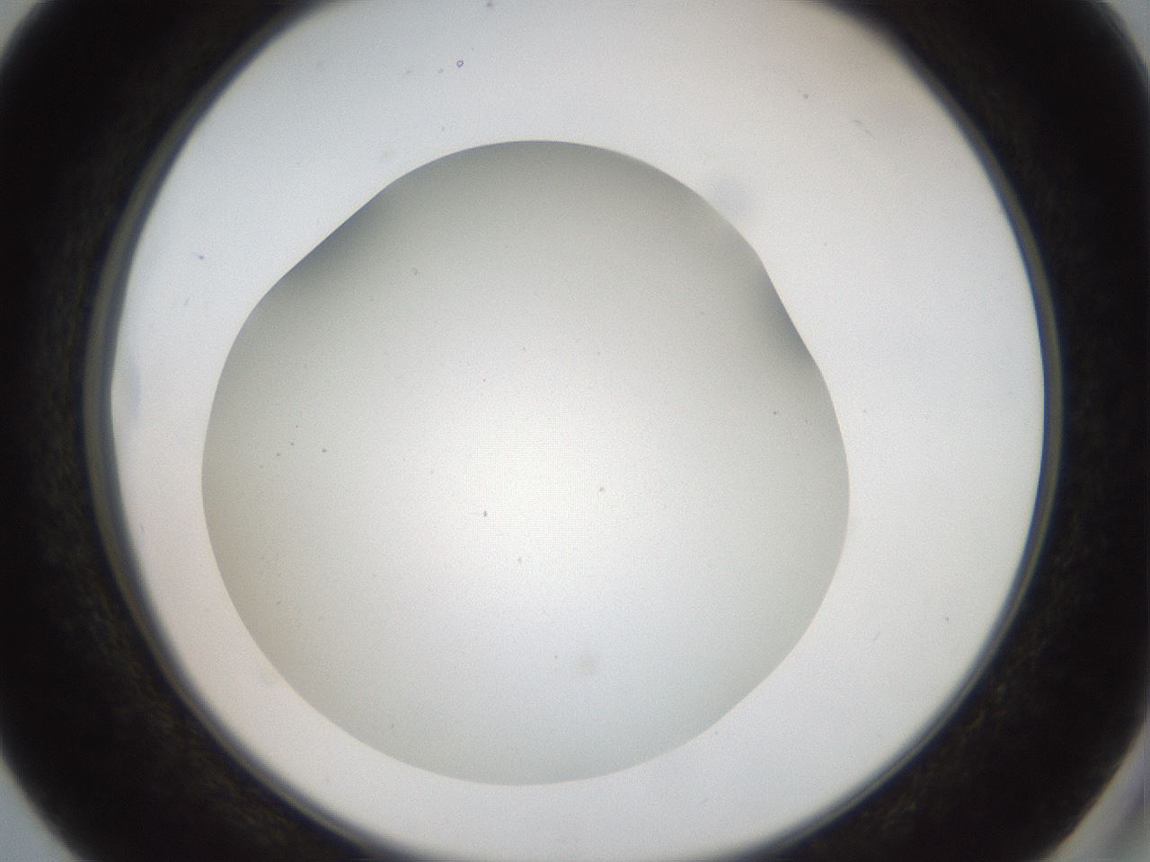 folderID40_plateID2040_batchID9008_wellNum40_profileID1_d2_r137542_ef.jpg