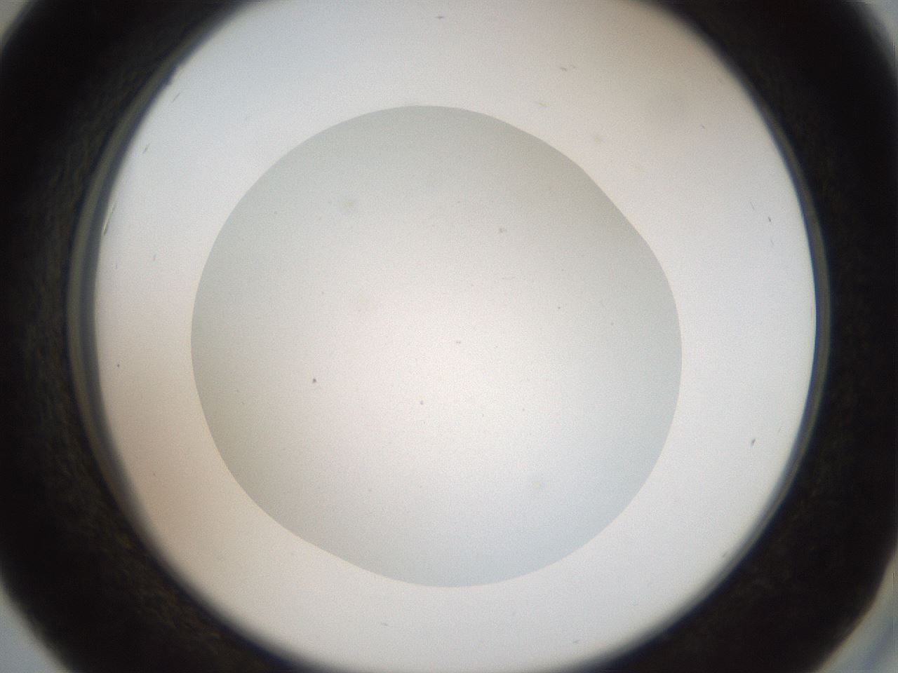 folderID40_plateID2040_batchID9008_wellNum42_profileID1_d2_r137546_ef.jpg