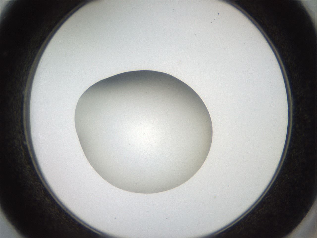 folderID40_plateID2040_batchID9008_wellNum49_profileID1_d2_r137560_ef.jpg