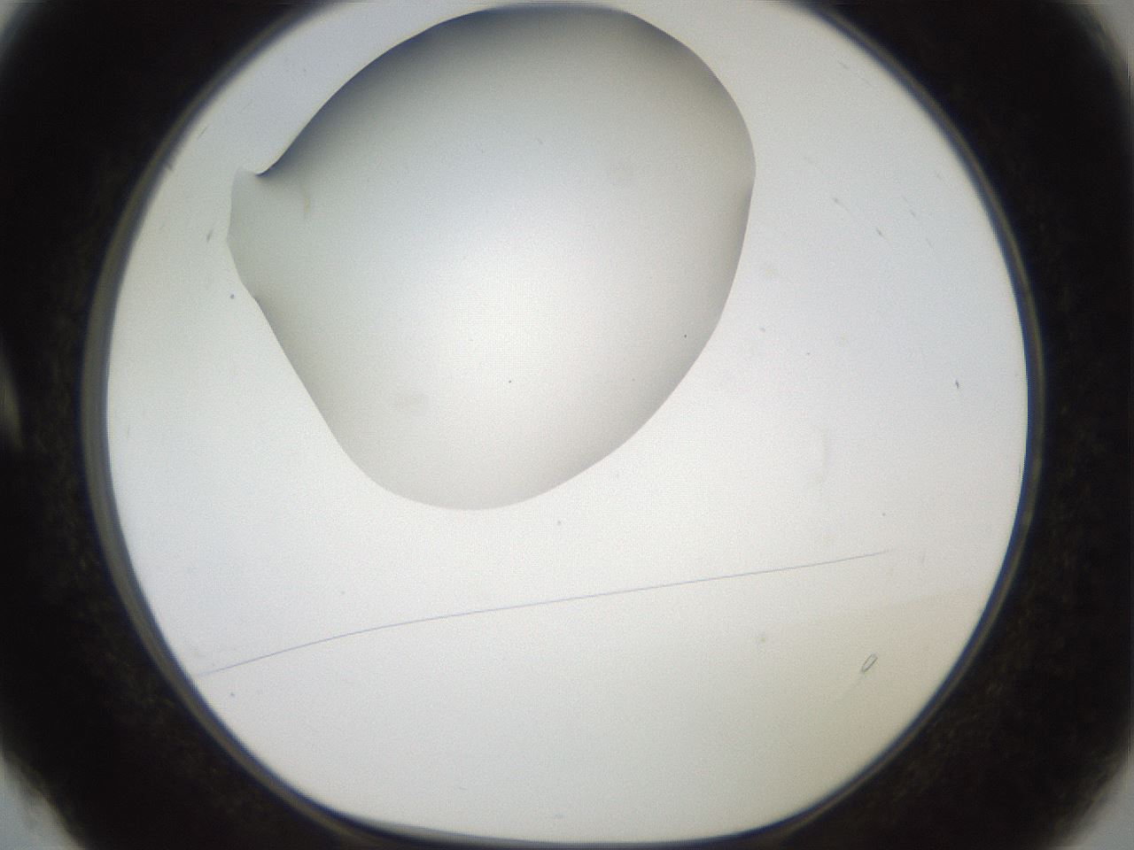 folderID40_plateID2040_batchID9008_wellNum4_profileID1_d1_r137469_ef.jpg