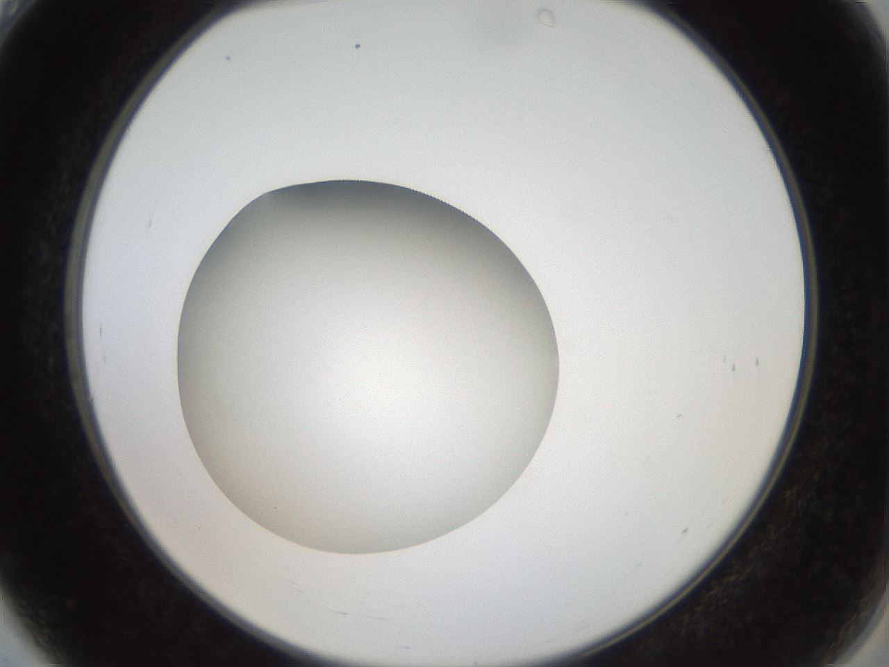 folderID40_plateID2040_batchID9008_wellNum4_profileID1_d2_r137470_ef.jpg