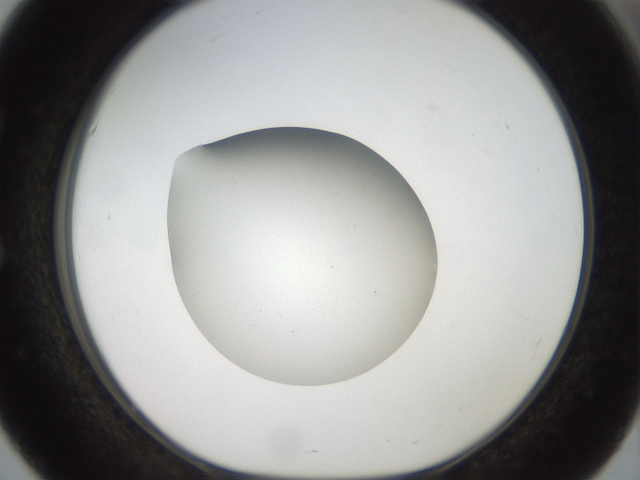 folderID40_plateID2040_batchID9008_wellNum51_profileID1_d1_r137563_ef.jpg