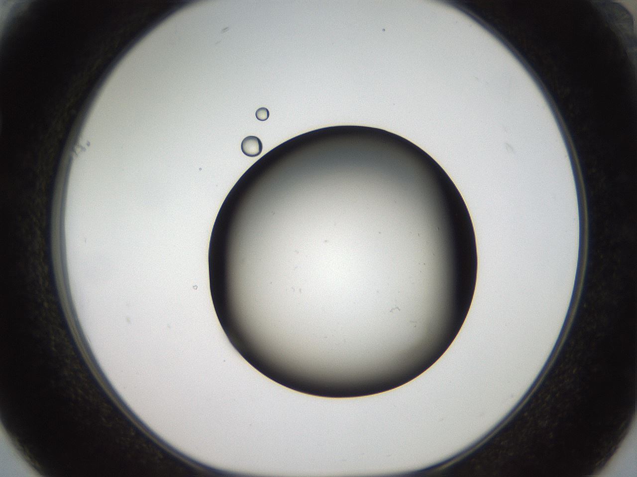 folderID40_plateID2040_batchID9008_wellNum61_profileID1_d1_r137583_ef.jpg