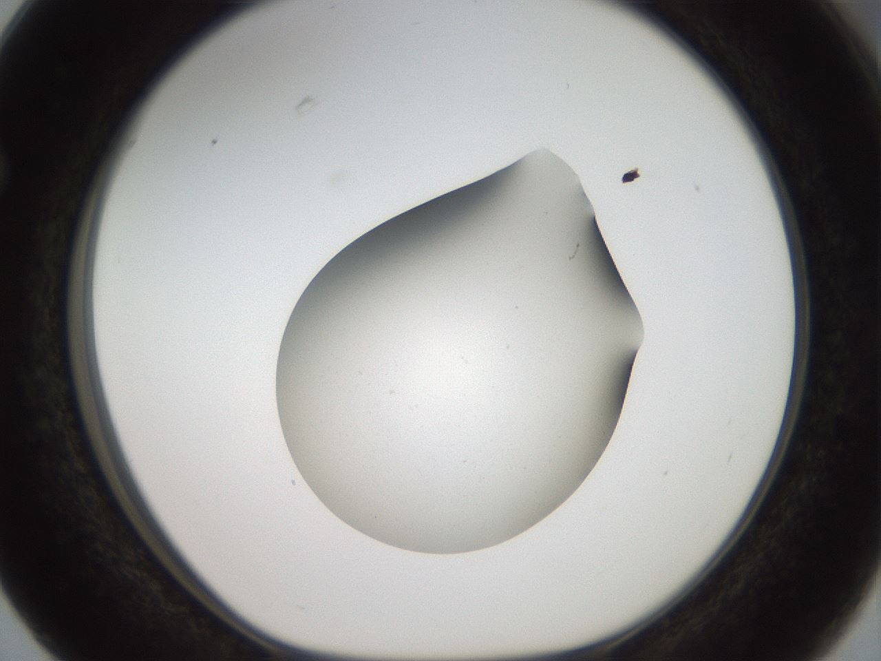 folderID40_plateID2040_batchID9008_wellNum63_profileID1_d1_r137587_ef.jpg