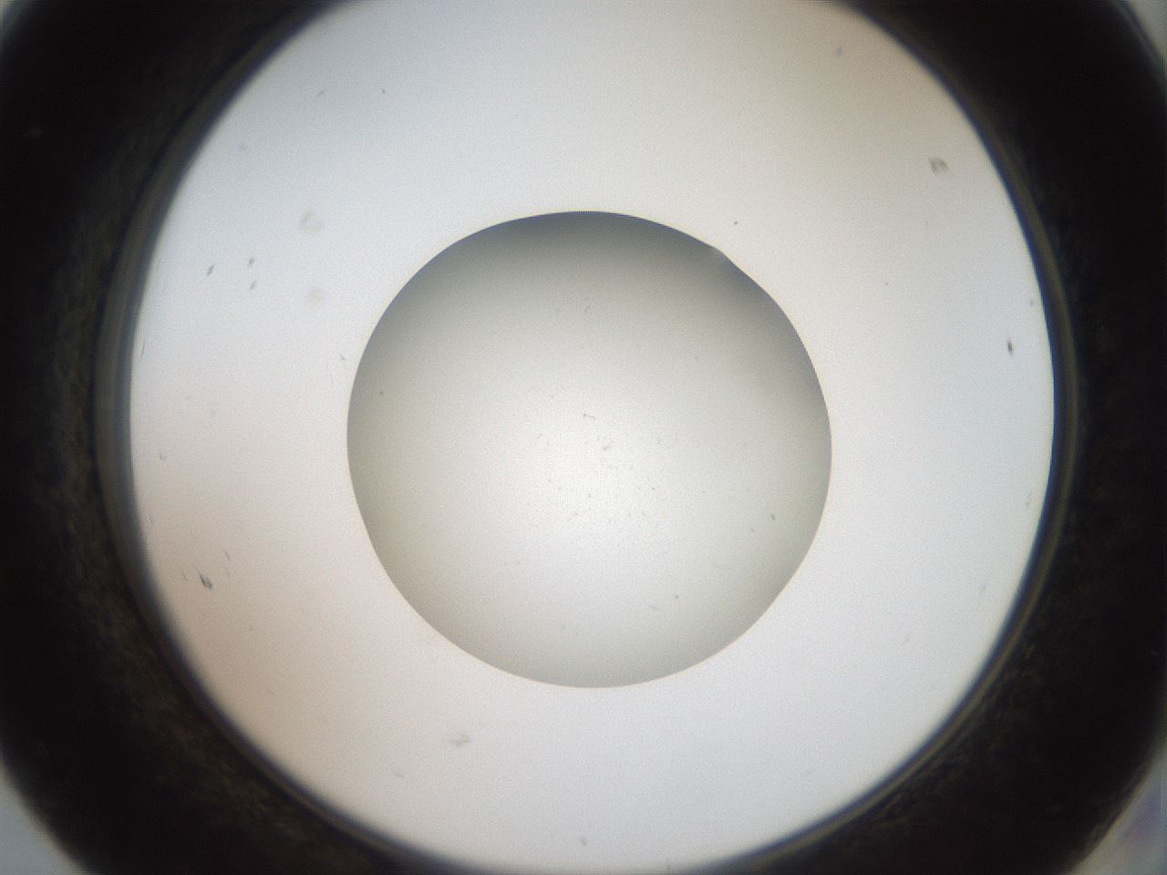 folderID40_plateID2040_batchID9008_wellNum68_profileID1_d2_r137598_ef.jpg