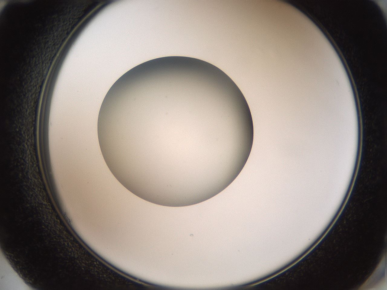 folderID40_plateID2040_batchID9008_wellNum72_profileID1_d2_r137606_ef.jpg