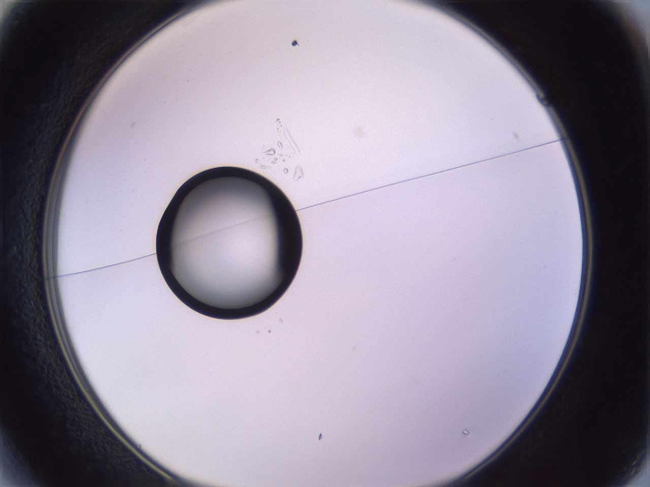folderID410_plateID1410_batchID5183_wellNum13_profileID1_d1_r86334_ef.jpg