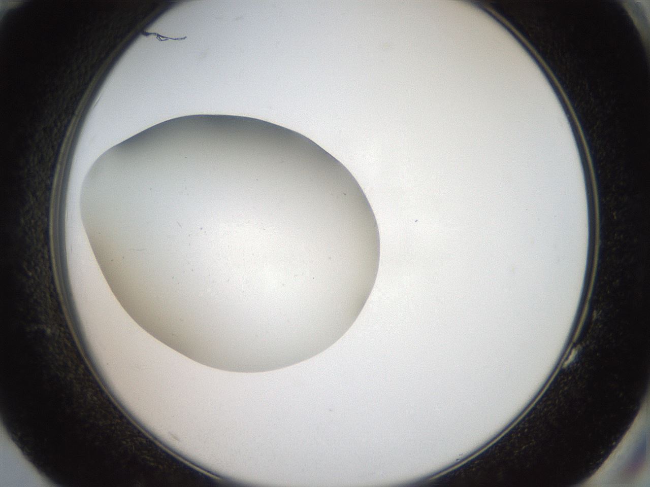 folderID40_plateID2040_batchID9008_wellNum83_profileID1_d2_r137628_ef.jpg