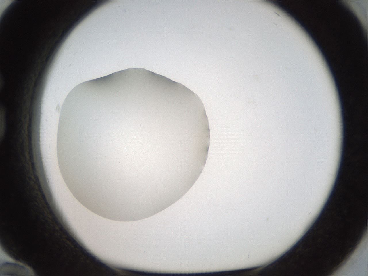 folderID40_plateID2040_batchID9008_wellNum84_profileID1_d1_r137629_ef.jpg