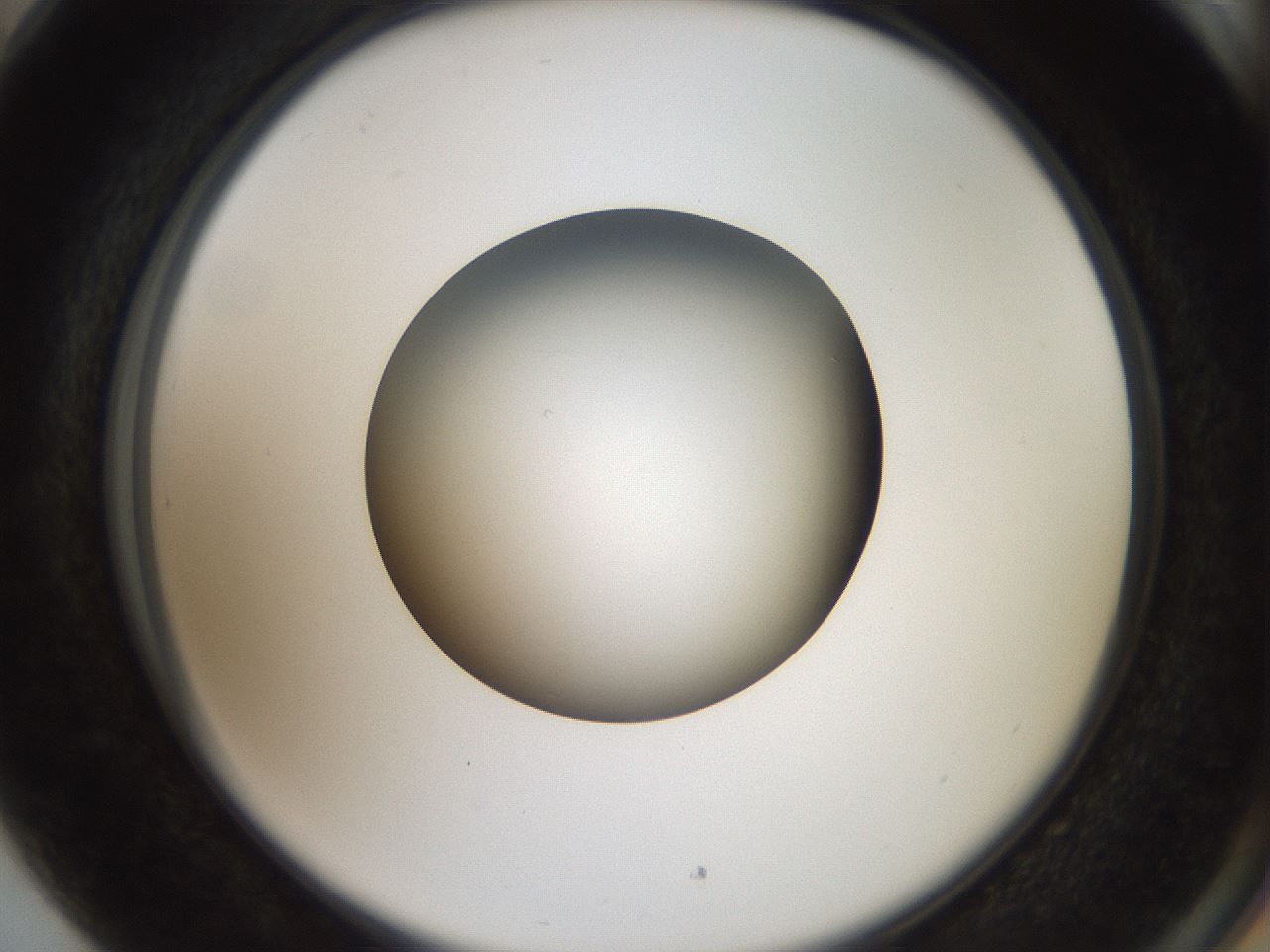 folderID40_plateID2040_batchID9008_wellNum89_profileID1_d2_r137640_ef.jpg