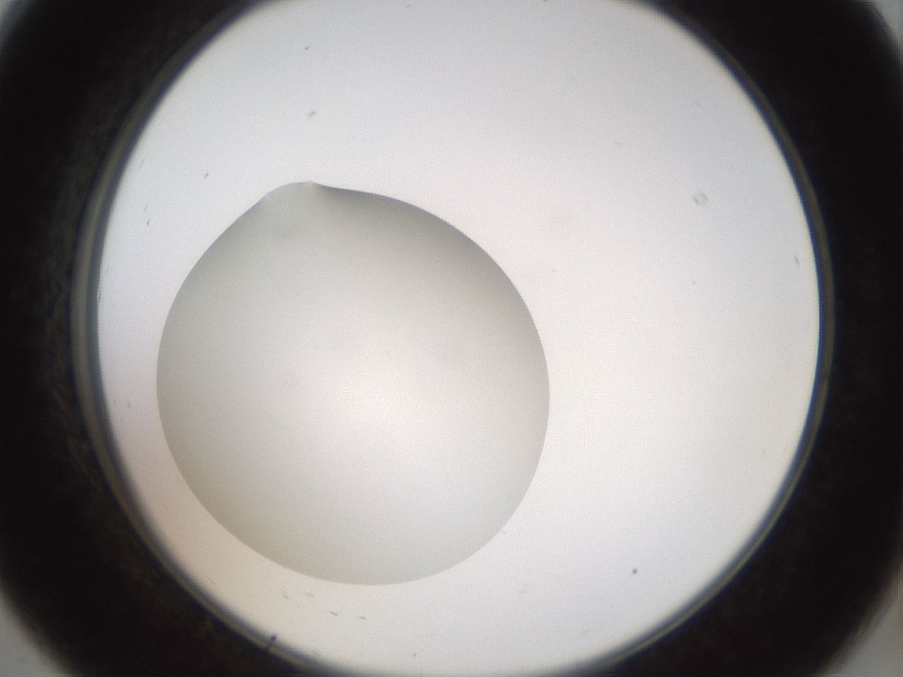 folderID40_plateID2040_batchID9008_wellNum8_profileID1_d2_r137478_ef.jpg