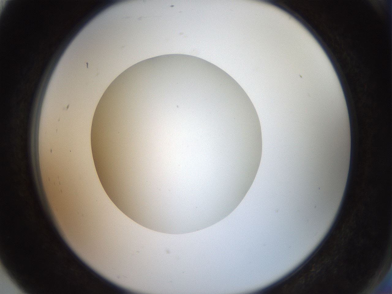 folderID40_plateID2040_batchID9008_wellNum91_profileID1_d2_r137644_ef.jpg