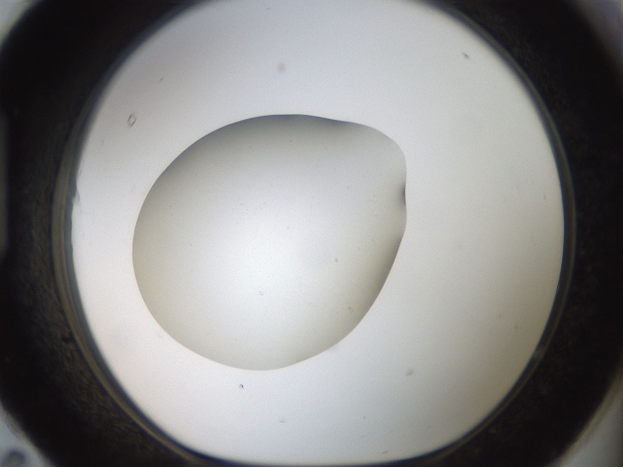 folderID40_plateID2040_batchID9008_wellNum95_profileID1_d1_r137651_ef.jpg