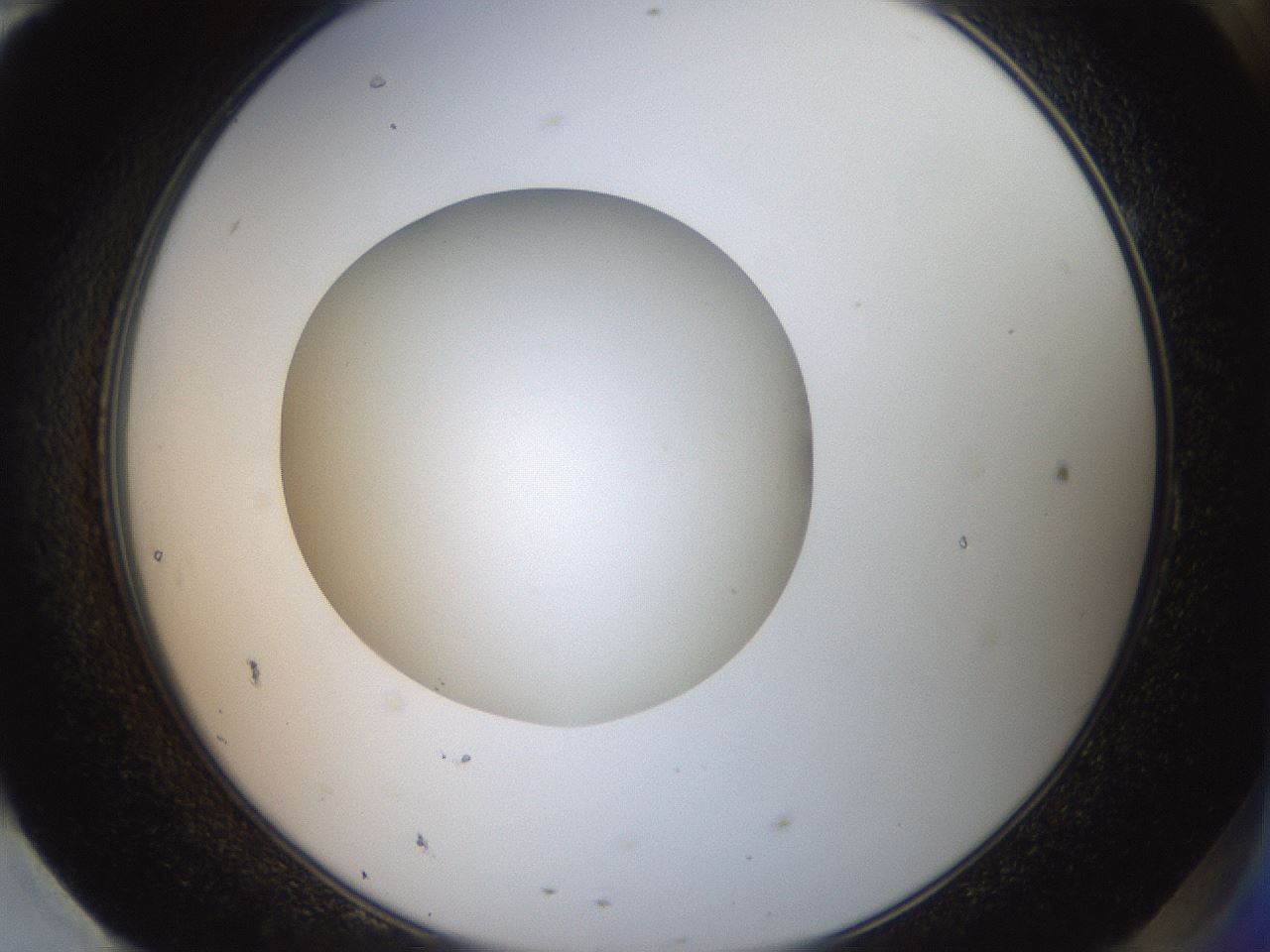 folderID40_plateID2040_batchID9008_wellNum95_profileID1_d2_r137652_ef.jpg