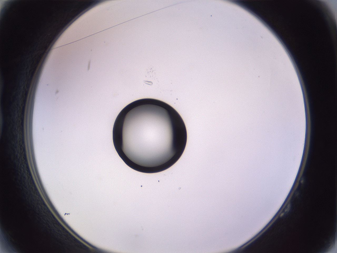 folderID410_plateID1410_batchID5183_wellNum14_profileID1_d1_r86335_ef.jpg