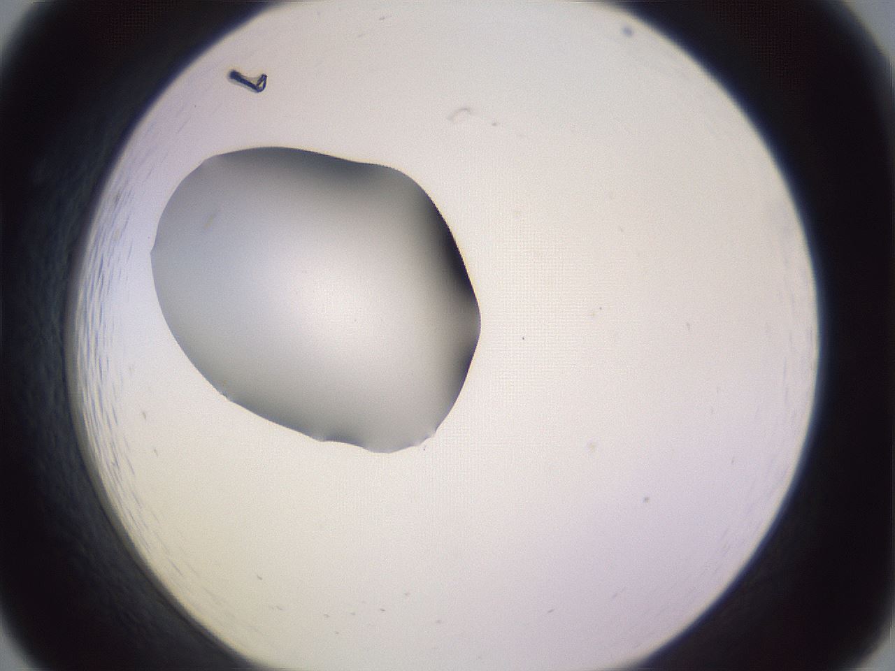 folderID410_plateID1410_batchID5183_wellNum19_profileID1_d1_r86340_ef.jpg