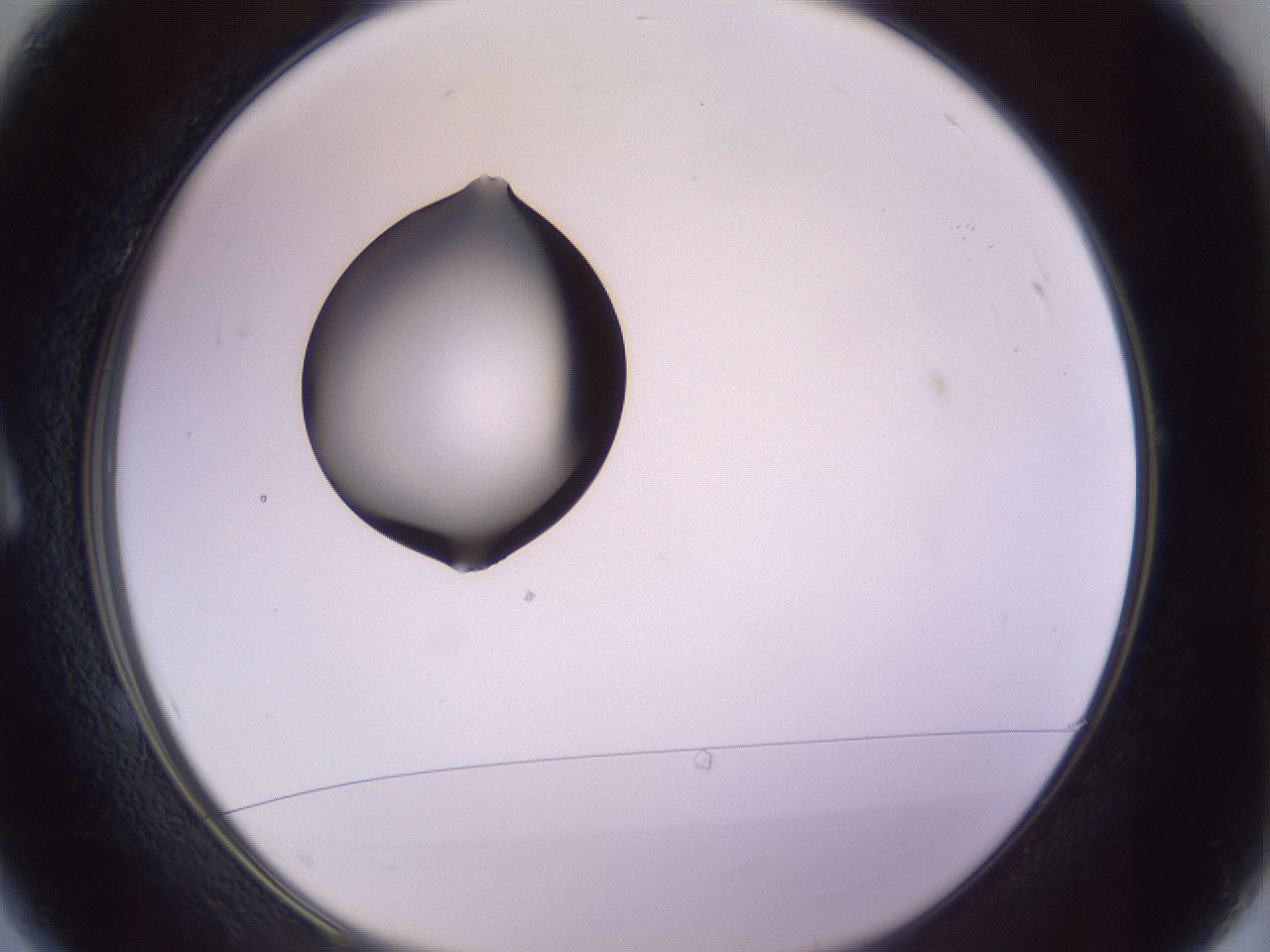 folderID410_plateID1410_batchID5183_wellNum1_profileID1_d1_r86322_ef.jpg