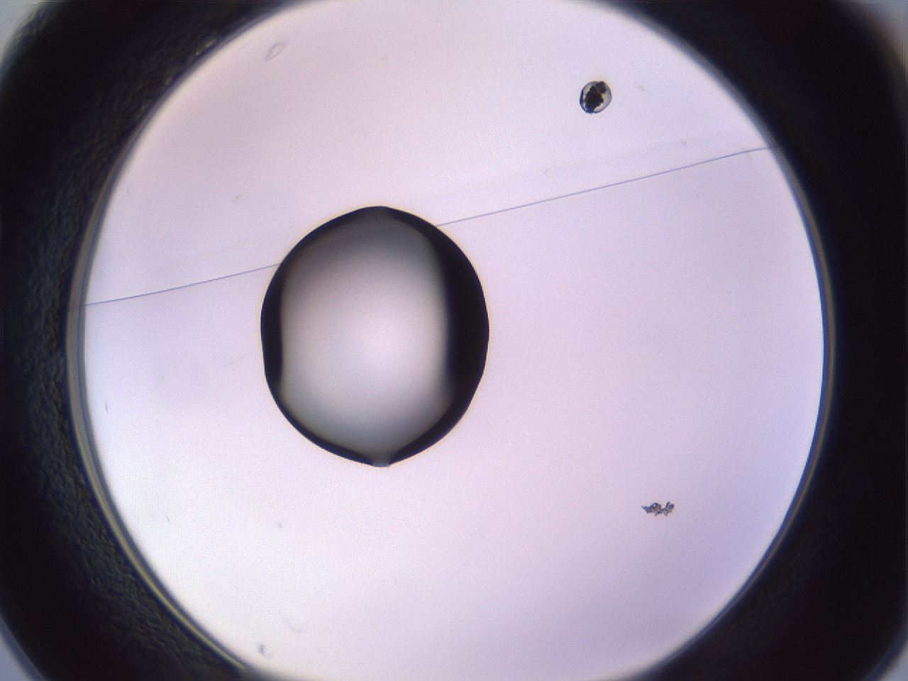 folderID410_plateID1410_batchID5183_wellNum25_profileID1_d1_r86346_ef.jpg