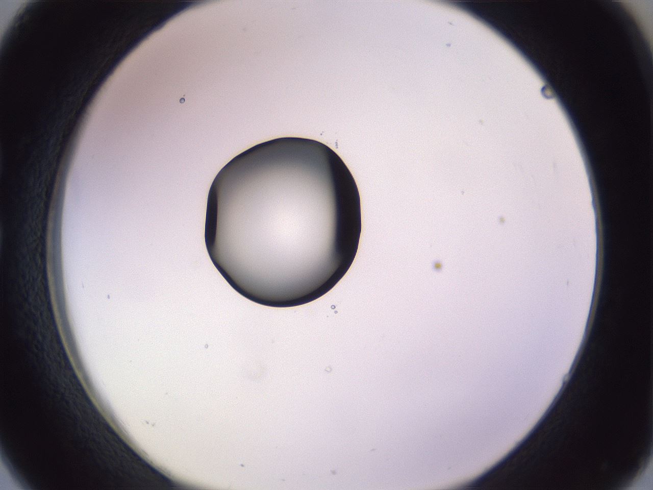 folderID410_plateID1410_batchID5183_wellNum26_profileID1_d1_r86347_ef.jpg