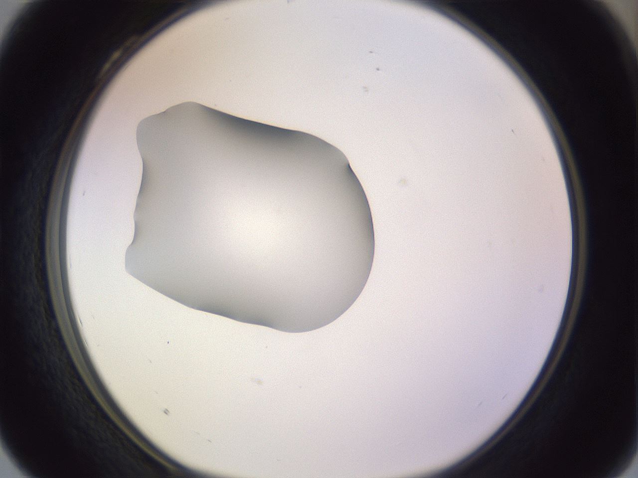 folderID410_plateID1410_batchID5183_wellNum28_profileID1_d1_r86349_ef.jpg