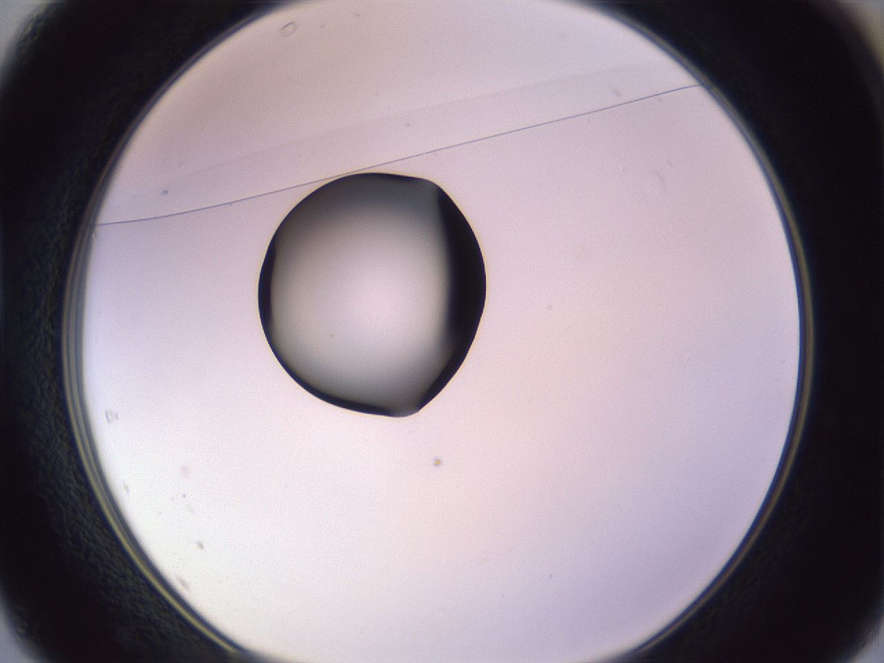 folderID410_plateID1410_batchID5183_wellNum37_profileID1_d1_r86358_ef.jpg