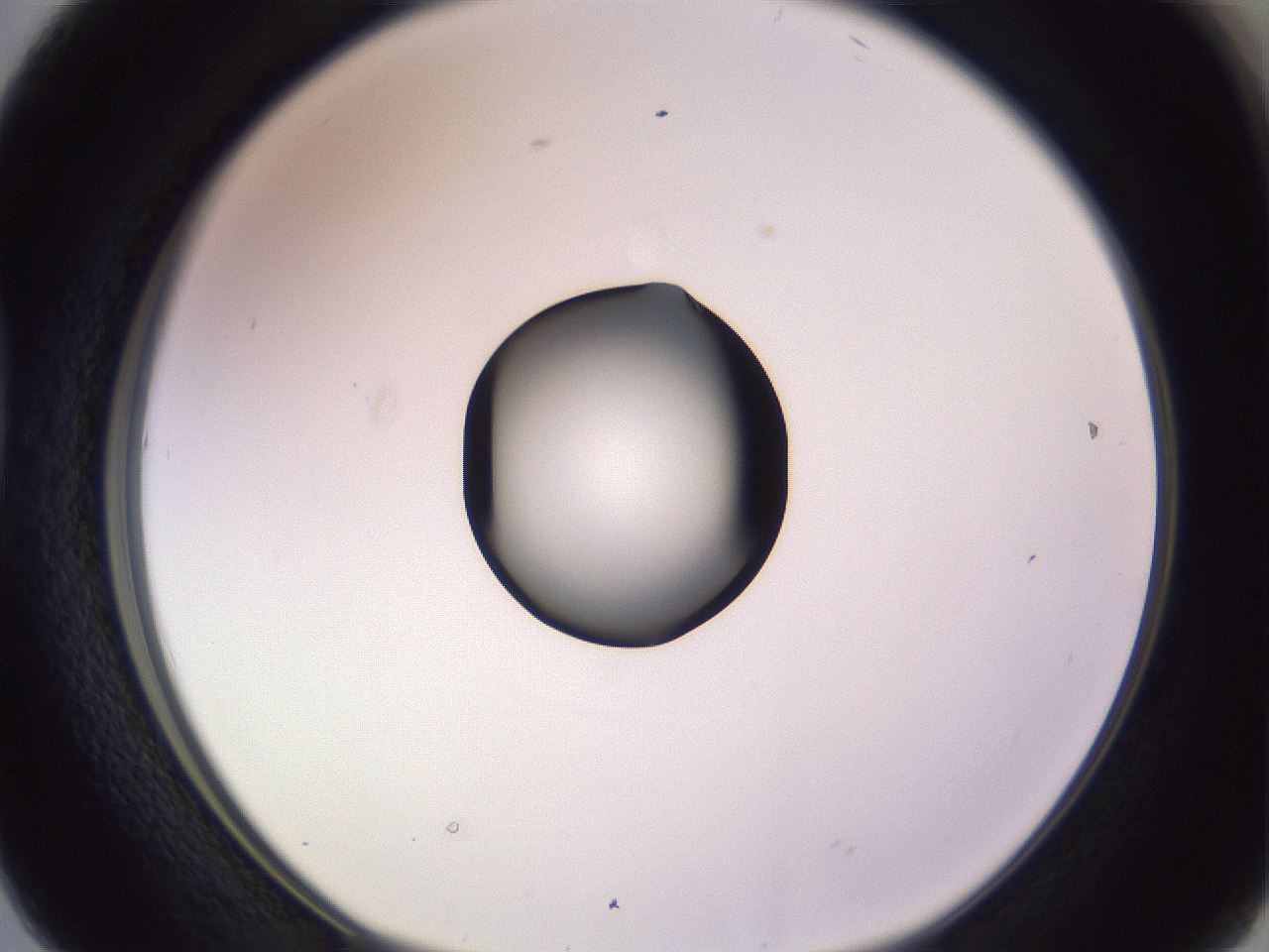folderID410_plateID1410_batchID5183_wellNum38_profileID1_d1_r86359_ef.jpg