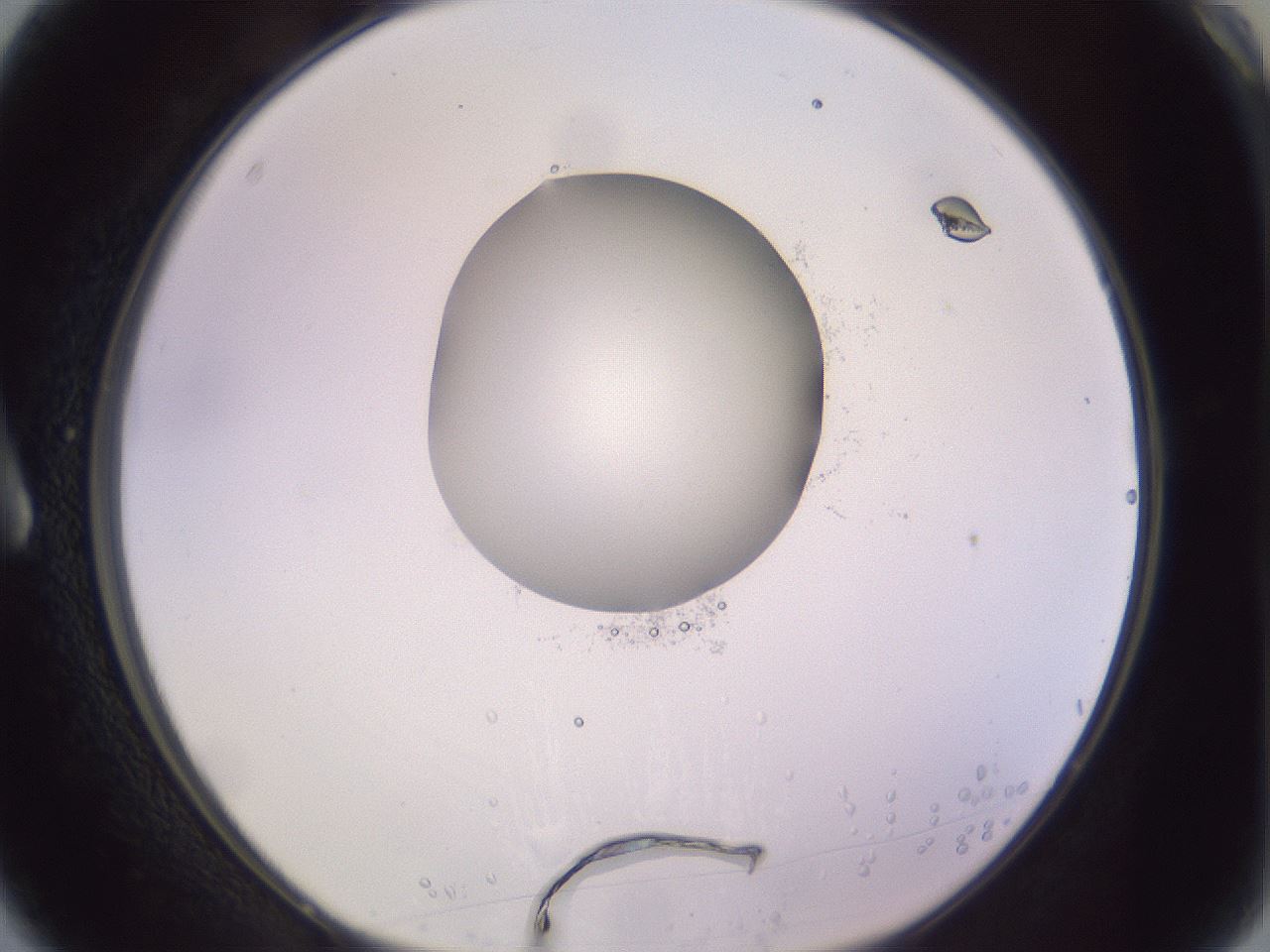 folderID410_plateID1410_batchID5183_wellNum3_profileID1_d1_r86324_ef.jpg