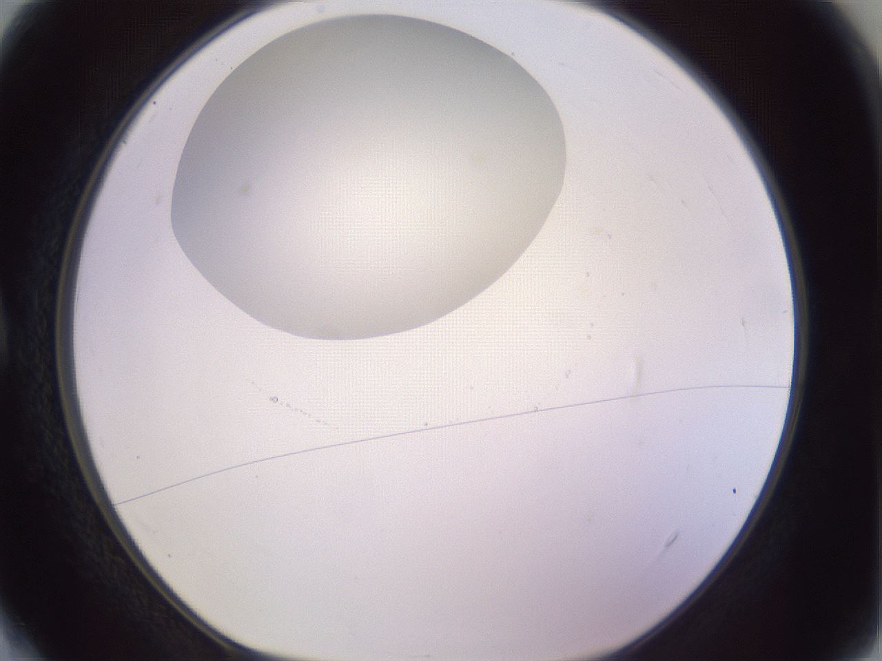 folderID410_plateID1410_batchID5183_wellNum4_profileID1_d1_r86325_ef.jpg