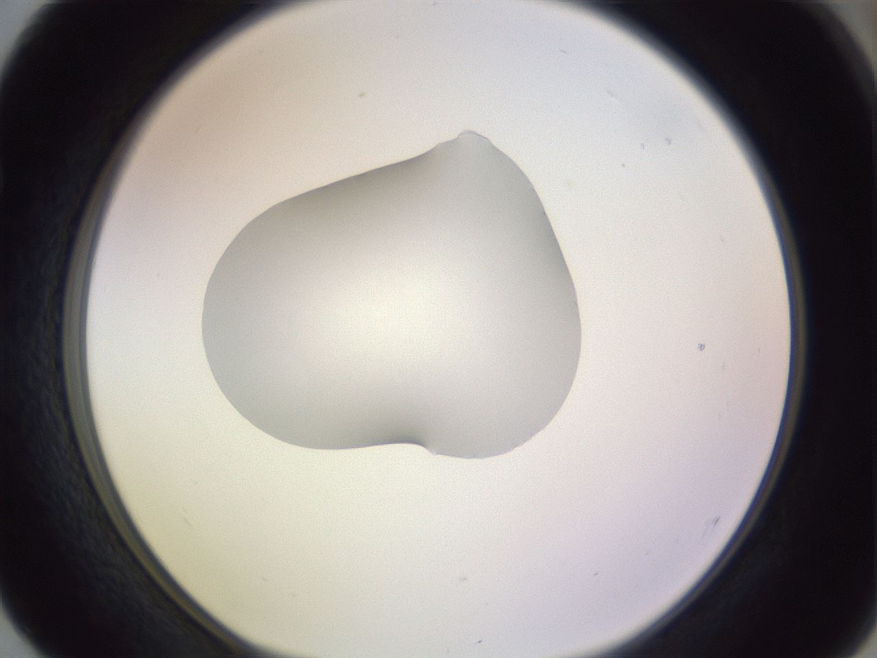 folderID410_plateID1410_batchID5183_wellNum52_profileID1_d1_r86373_ef.jpg