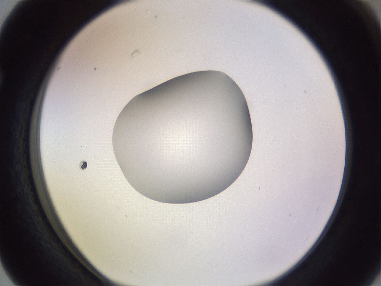 folderID410_plateID1410_batchID5183_wellNum63_profileID1_d1_r86384_ef.jpg