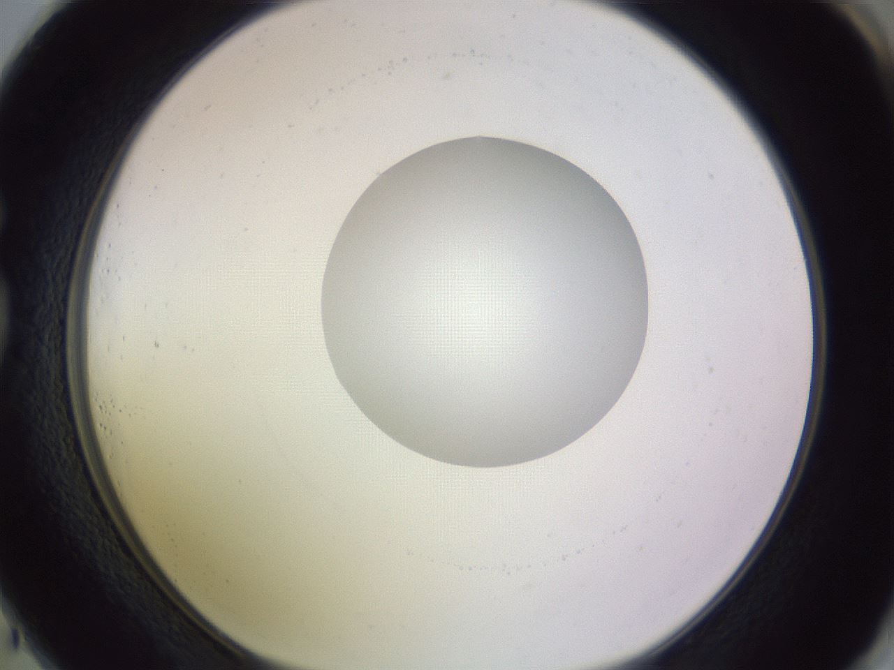 folderID410_plateID1410_batchID5183_wellNum73_profileID1_d1_r86394_ef.jpg