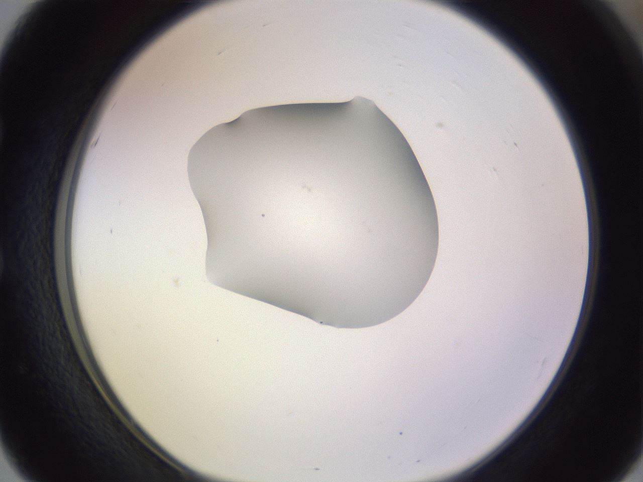 folderID410_plateID1410_batchID5183_wellNum51_profileID1_d1_r86372_ef.jpg