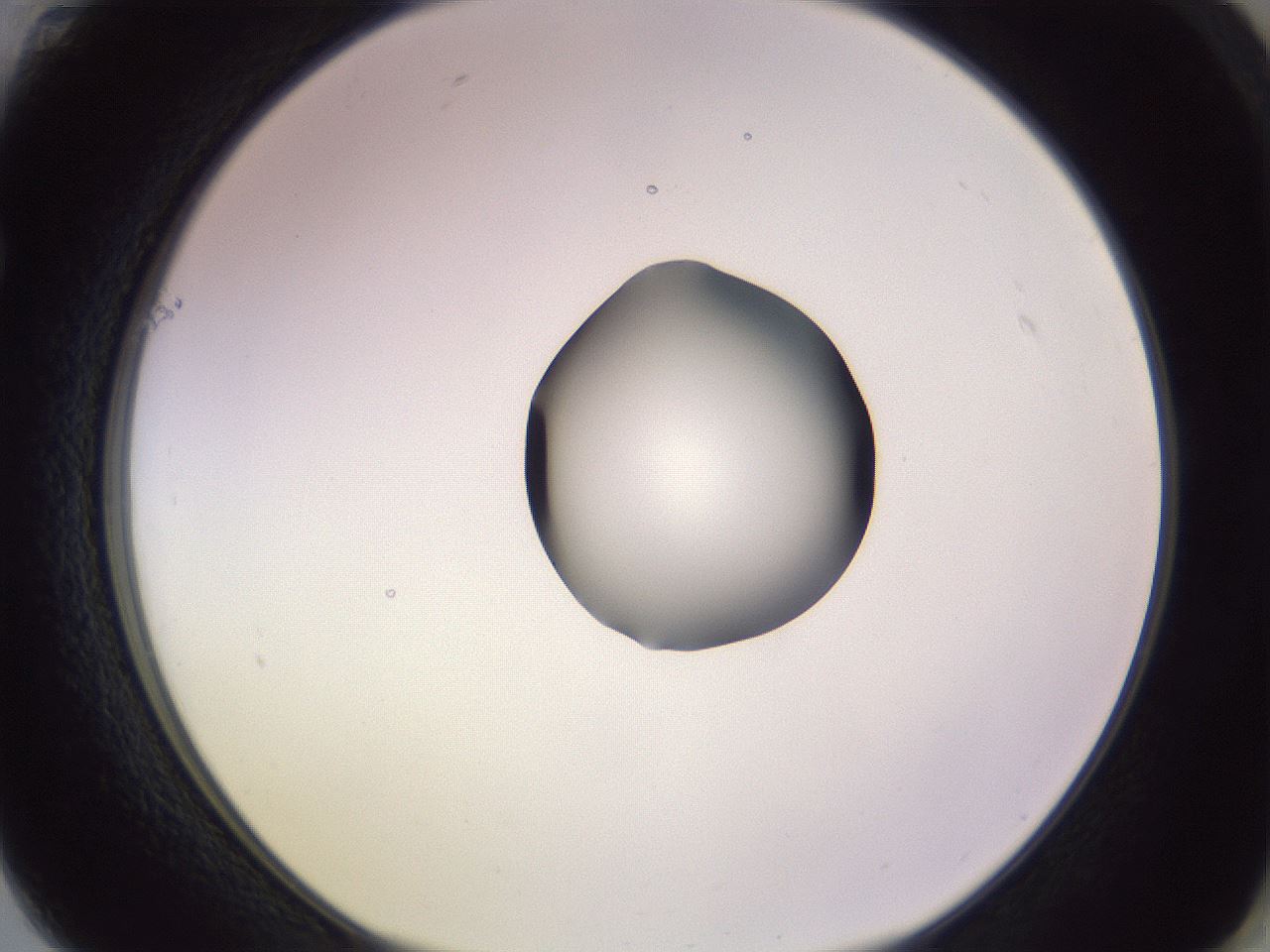 folderID410_plateID1410_batchID5183_wellNum61_profileID1_d1_r86382_ef.jpg
