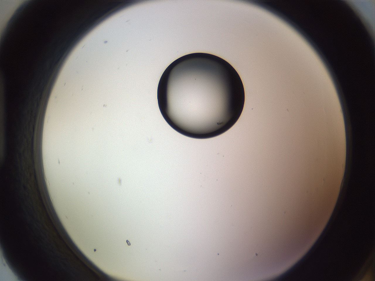 folderID410_plateID1410_batchID5183_wellNum93_profileID1_d1_r86414_ef.jpg