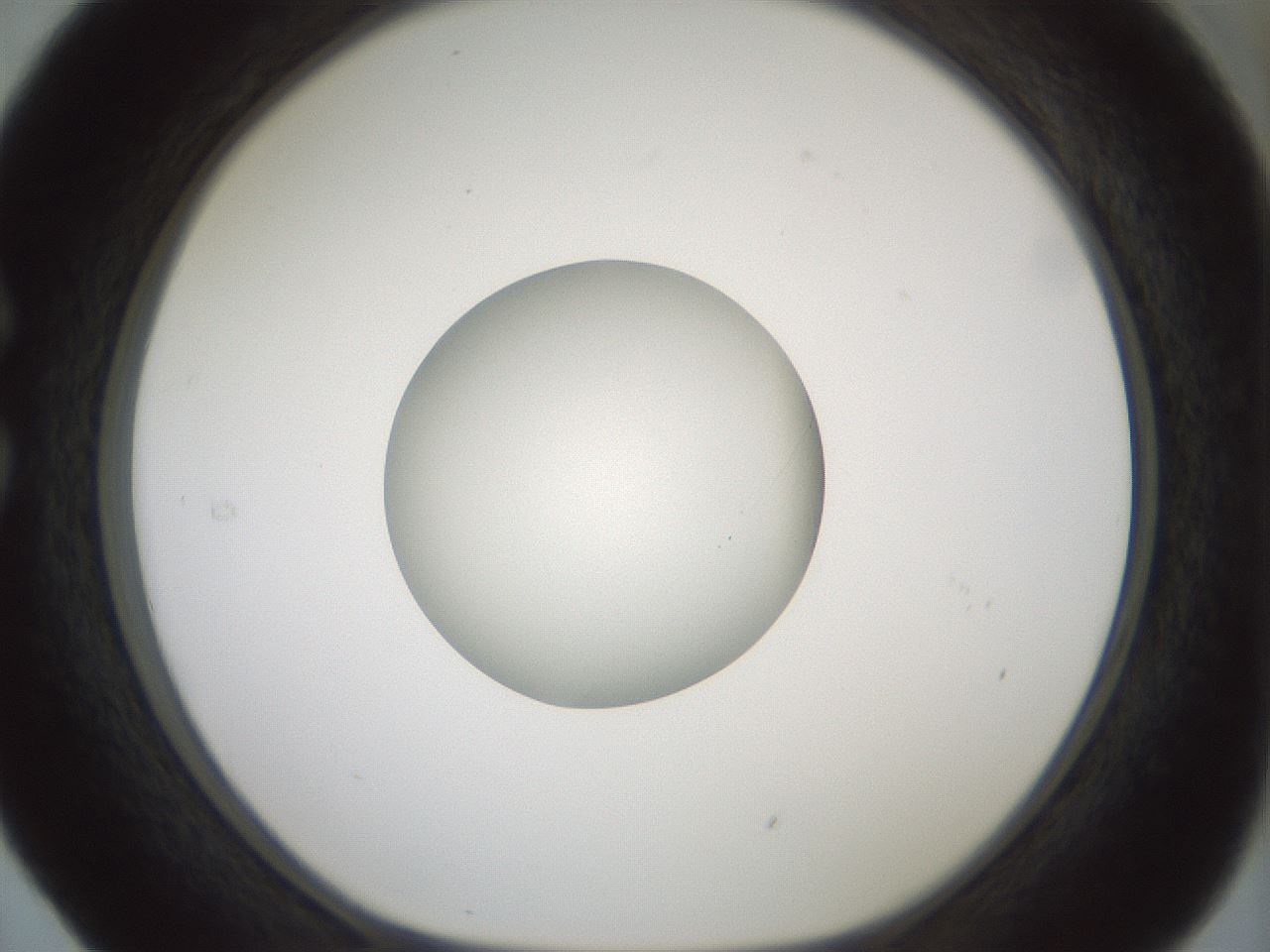 folderID414_plateID1414_batchID5189_wellNum29_profileID1_d1_r86734_ef.jpg