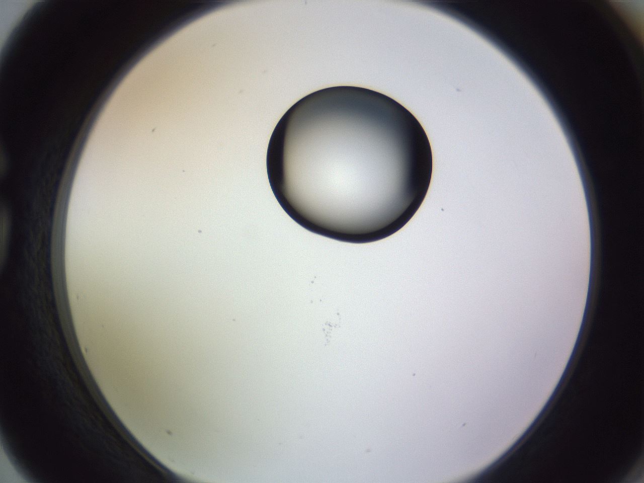 folderID410_plateID1410_batchID5183_wellNum75_profileID1_d1_r86396_ef.jpg