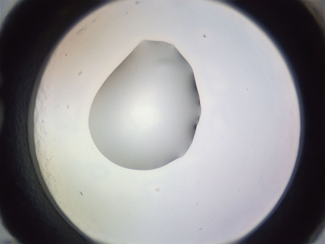 folderID410_plateID1410_batchID5183_wellNum83_profileID1_d1_r86404_ef.jpg